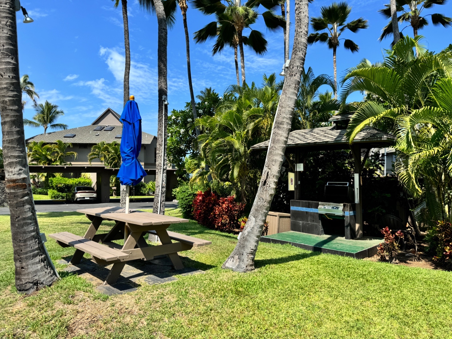 BBQ with picnic table